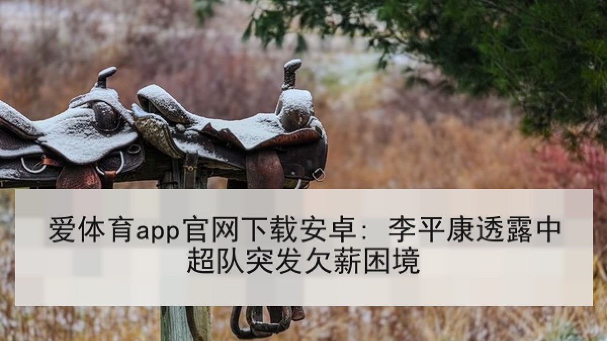 爱体育app官网下载安卓: 李平康透露中超队突发欠薪困境 爱体育app官网下载安卓: 李平康透露中超队突发欠薪困境
