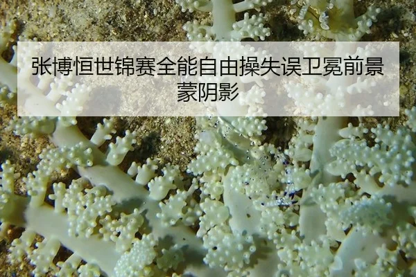 张博恒世锦赛全能自由操失误卫冕前景蒙阴影